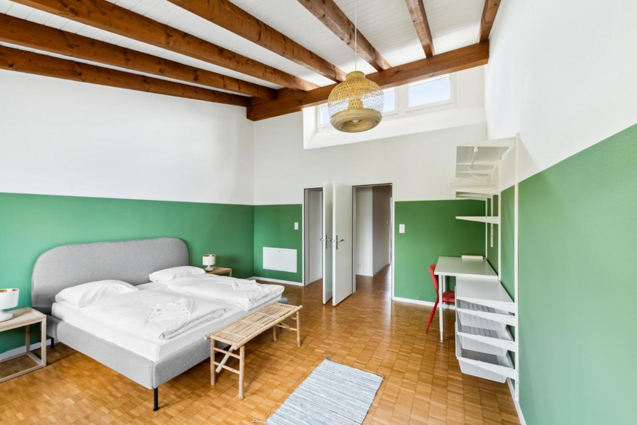 Cozy Apartments Close To The Center Of Zurich Forch Exterior foto